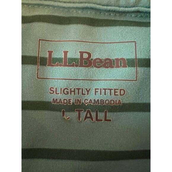 L L Bean‎ Men’s Polo Size L Tall Slightly Fitted Striped Blue/Green EUC - Picture 4 of 6